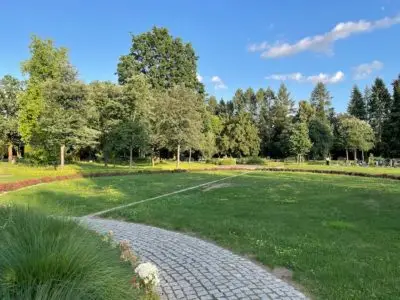 Bestatter in Magdeburg: Bestattungs-Agentur