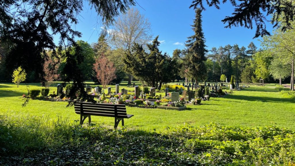 Ablauf einer Urnenbeisetzung: Gräberfeld auf dem Westfriedhof in Magdeburg